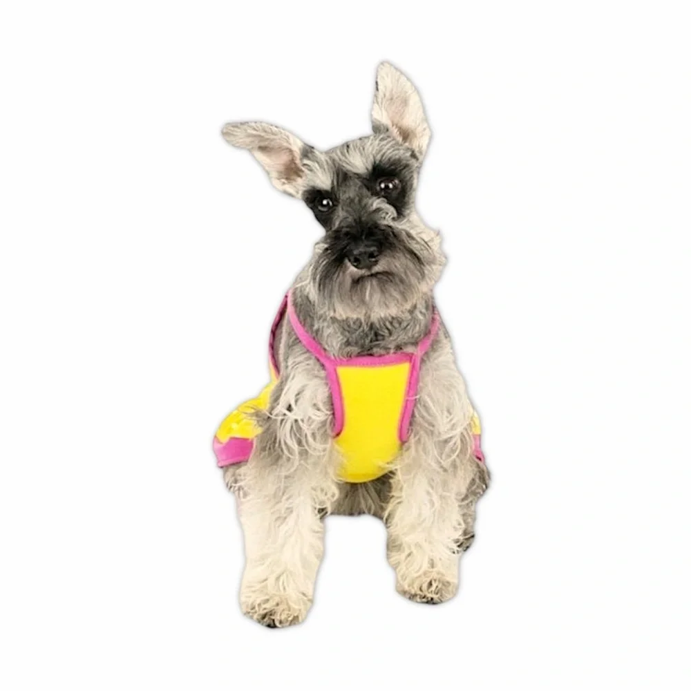 Vibrant Life Yellow Polka Dot Dog Dress
